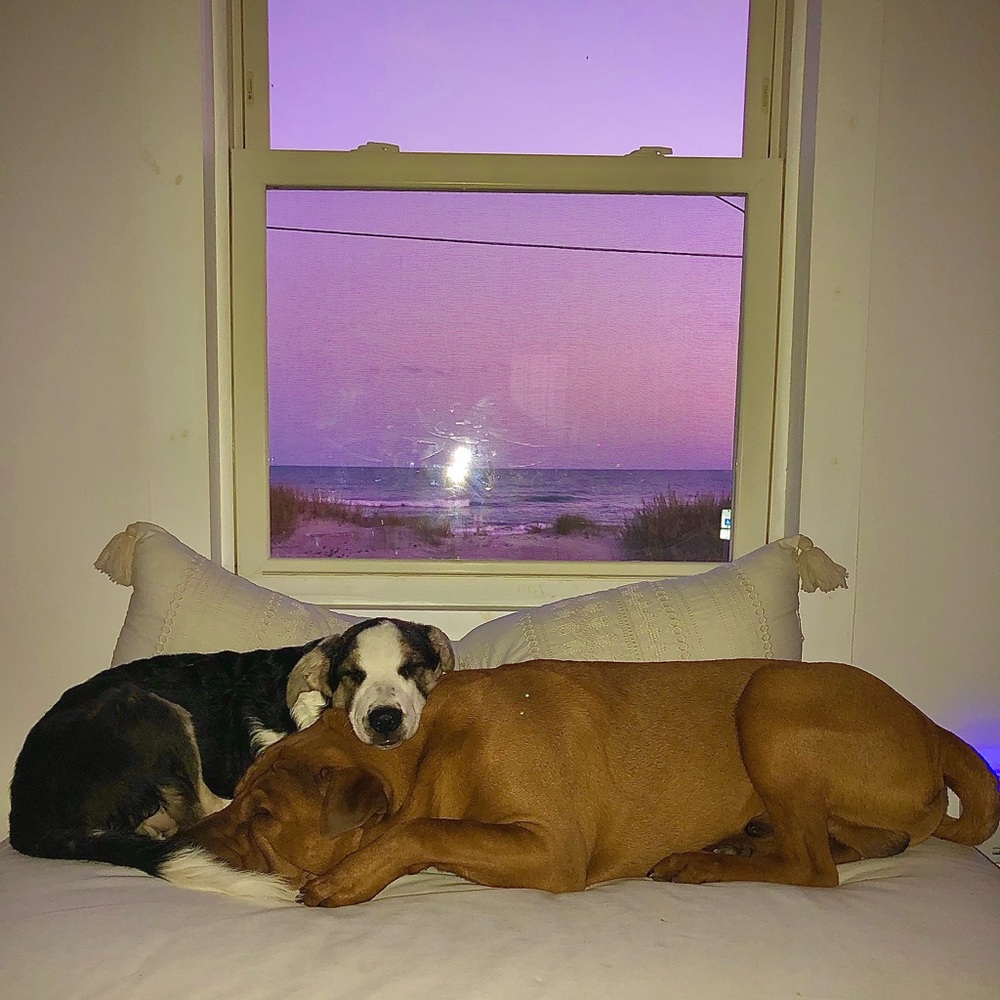 💜💜💜